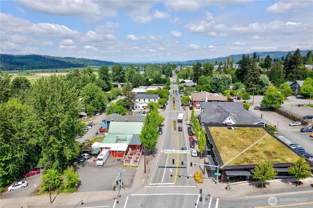 bird's eye view with a mountain view