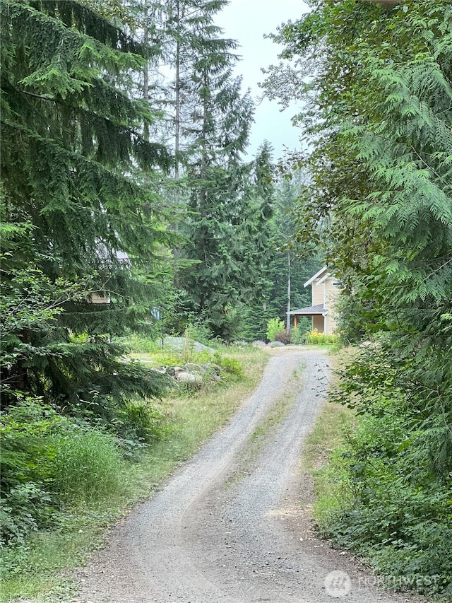 view of road featuring dirt driveway and a view of trees