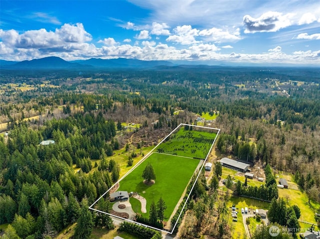 bird's eye view featuring a mountain view and a wooded view