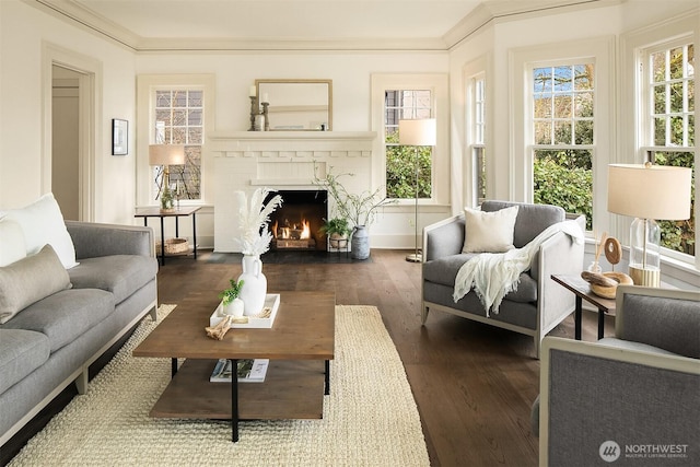 living area with wood finished floors, plenty of natural light, ornamental molding, and a fireplace