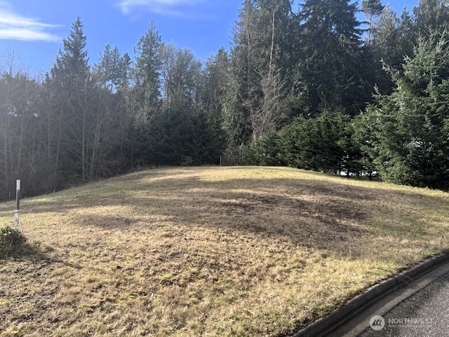 0 Delguzzi Dr, Port Angeles WA, 98362 land for sale