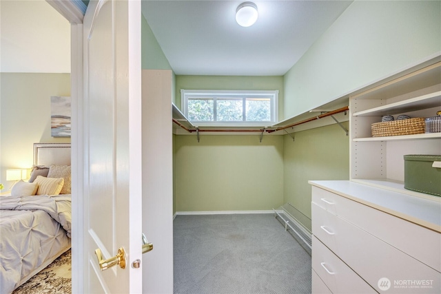 walk in closet featuring carpet floors