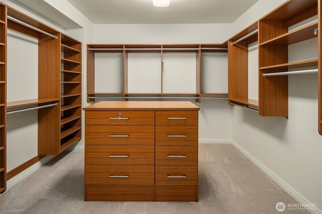 walk in closet with carpet