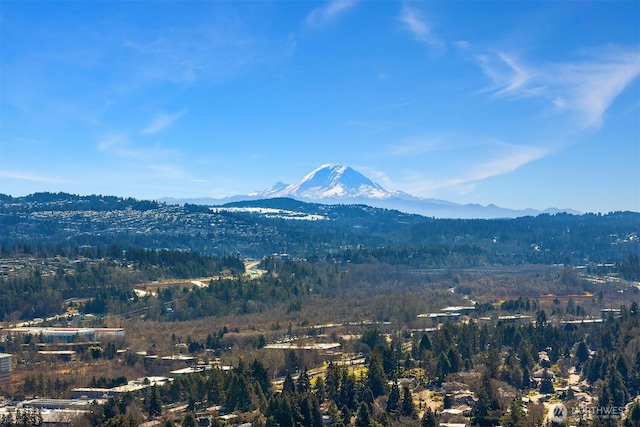 mountain view with a forest view