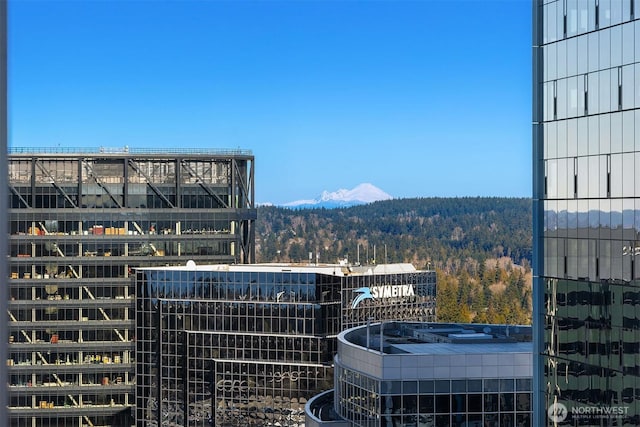 city view featuring a mountain view