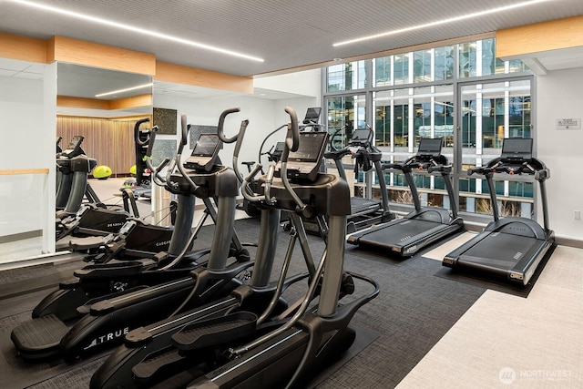 exercise room featuring carpet floors, floor to ceiling windows, and baseboards