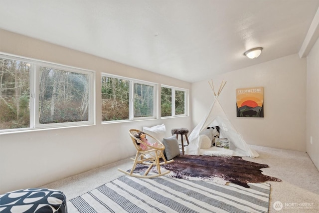 recreation room with carpet floors