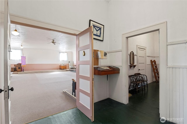 hallway featuring carpet floors, a wealth of natural light, and a wainscoted wall