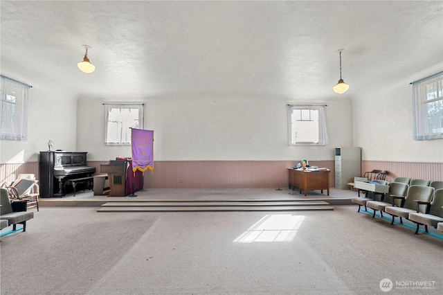 miscellaneous room with a wainscoted wall, carpet, and wooden walls