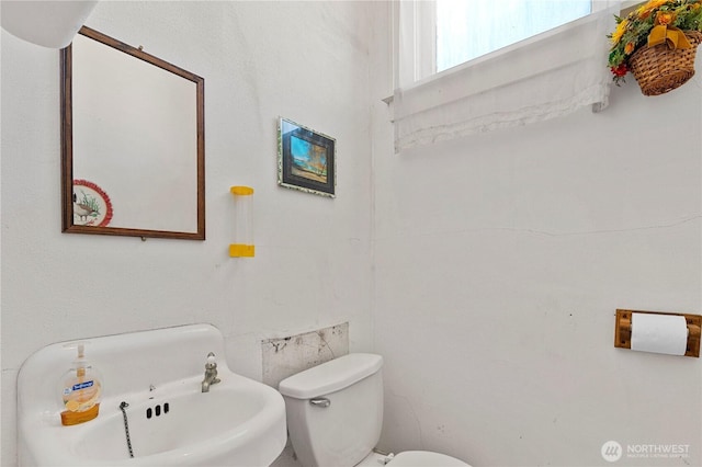 bathroom featuring a sink and toilet