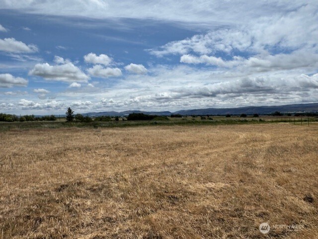 244 Abbey Rd, Ellensburg, WA 98926 - photo 17