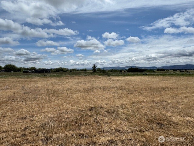 244 Abbey Rd, Ellensburg, WA 98926 - photo 18