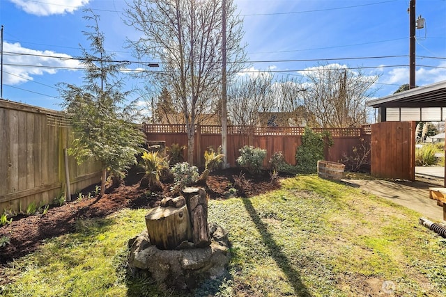 view of yard featuring a fenced backyard