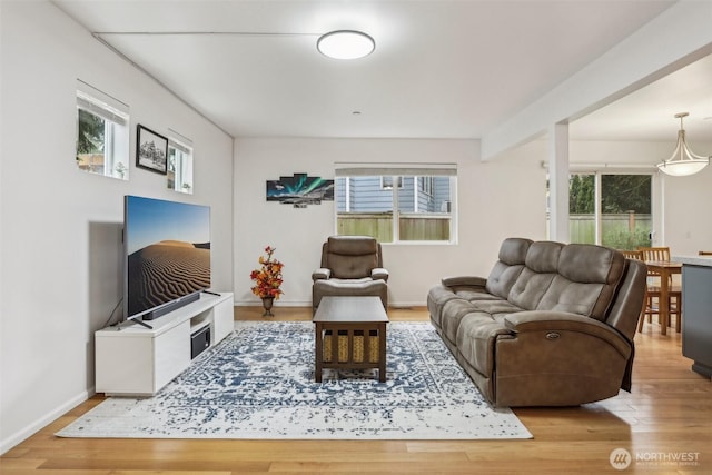 living area featuring a healthy amount of sunlight, baseboards, and wood finished floors