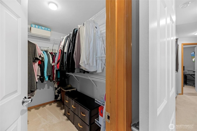 walk in closet featuring carpet floors