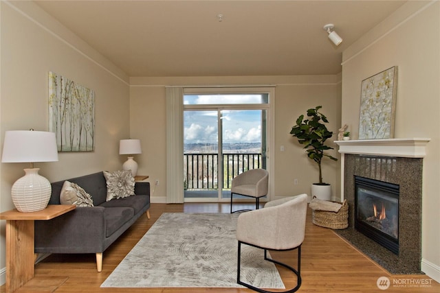 living room featuring wood finished floors and a high end fireplace