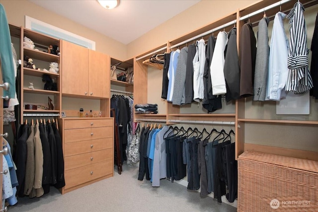 10808 NE 192nd Ave, Brush Prairie, WA 98606 - spacious closet with light carpet