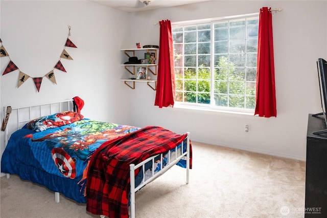 bedroom featuring baseboards and carpet