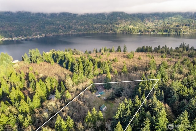 aerial view with a water view and a wooded view