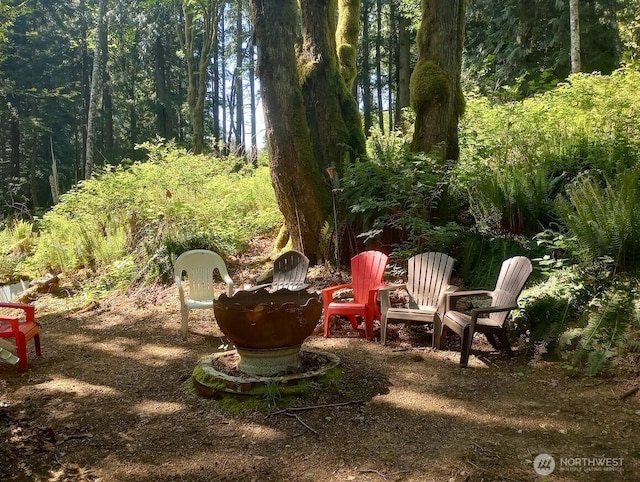 view of yard with a patio area and a forest view