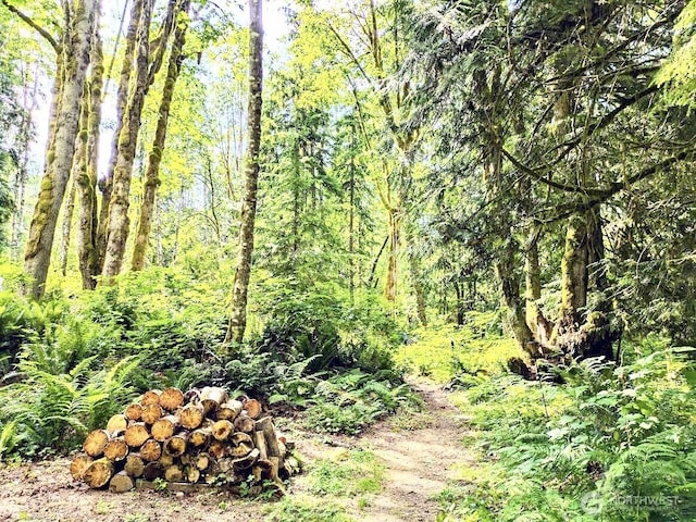 view of local wilderness with a wooded view