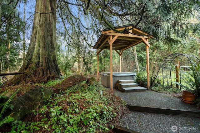 view of yard featuring a view of trees and a hot tub