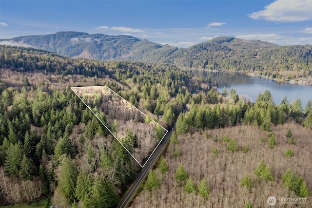 birds eye view of property featuring a forest view and a water and mountain view