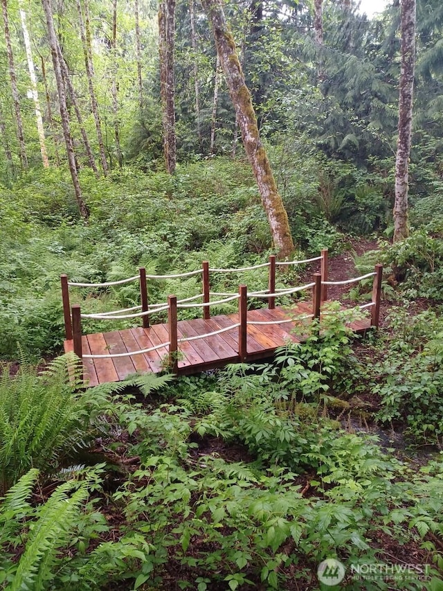 559 Summerland Rd, Bellingham, WA 98229 - view of yard with a wooden deck and a forest view