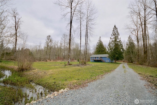 view of road with a view of trees and gravel driveway