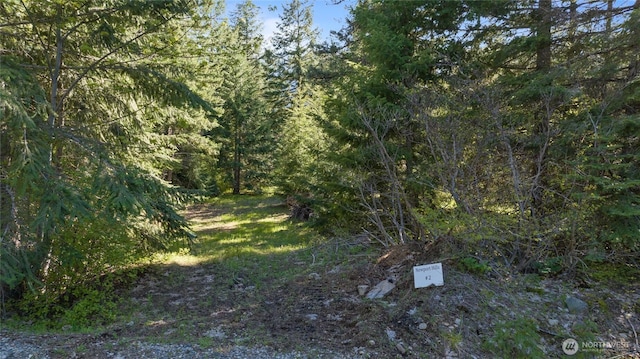 2 Newport Creek Loop, Ronald WA, 98940 land for sale