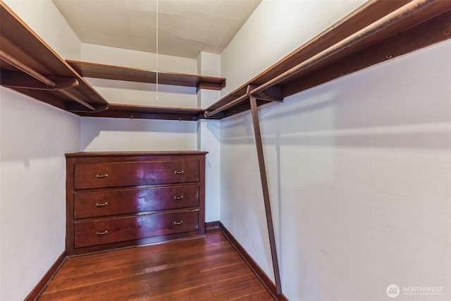 walk in closet with dark wood-type flooring