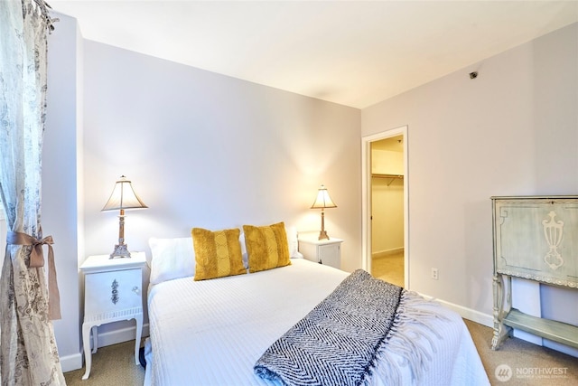 carpeted bedroom with a spacious closet and baseboards