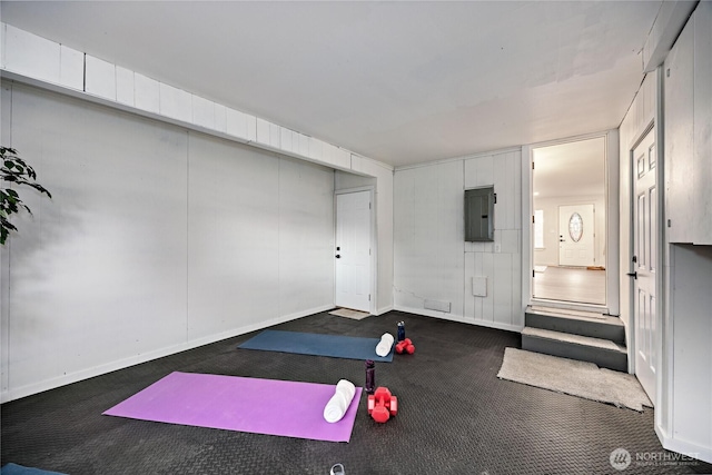 exercise area with carpet, electric panel, and baseboards