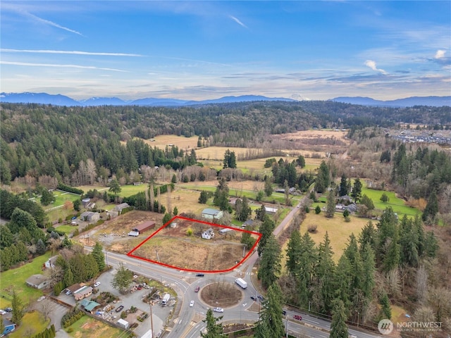 aerial view with a forest view and a mountain view