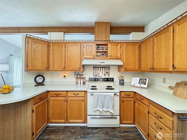 kitchen featuring dark wood-style floors, ventilation hood, electric stove, and light countertops