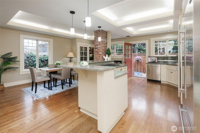 kitchen with hanging light fixtures, light wood finished floors, stainless steel appliances, and a raised ceiling