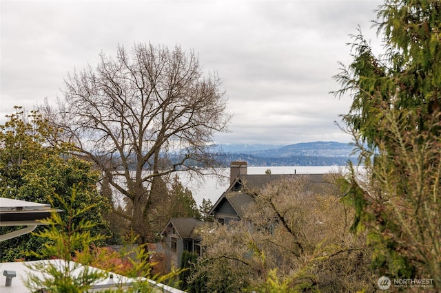 water view featuring a mountain view