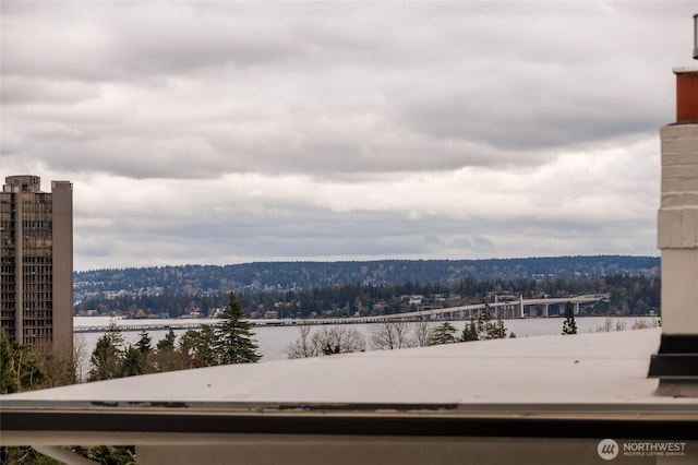 view of mountain feature with a water view and a view of trees