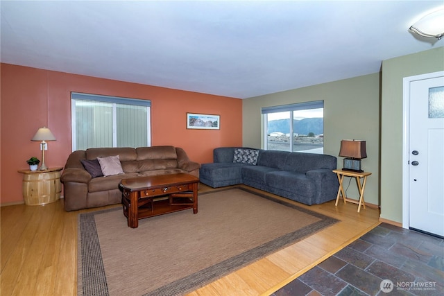 living room featuring dark wood-style flooring