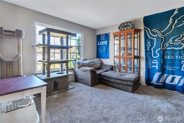 sitting room with carpet floors