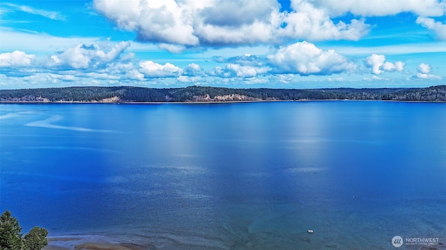 property view of water featuring a wooded view