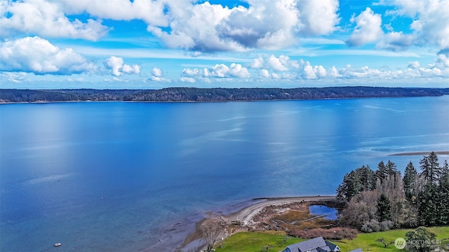 property view of water with a view of trees