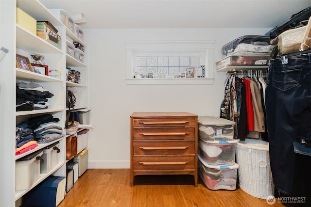 walk in closet featuring wood finished floors