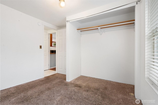 unfurnished bedroom featuring carpet flooring