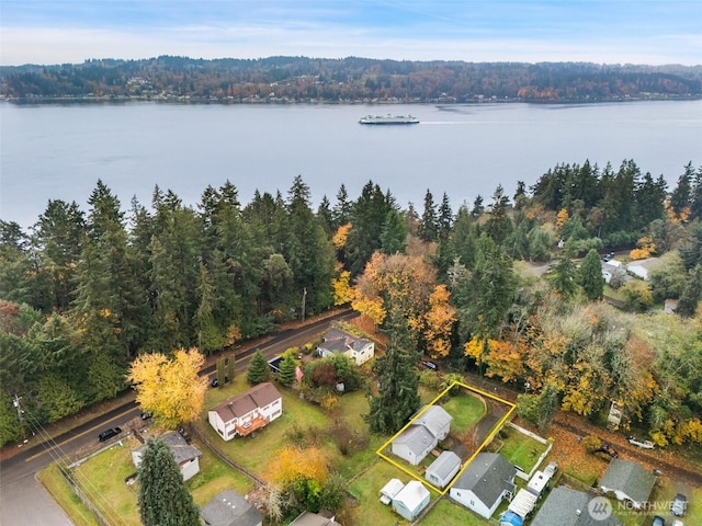 drone / aerial view with a water view and a wooded view