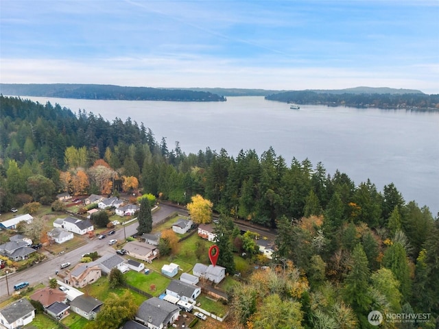 drone / aerial view featuring a water view and a wooded view