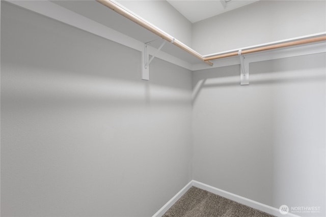 spacious closet featuring dark carpet