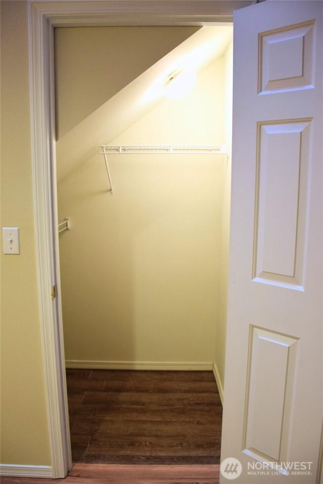 walk in closet featuring wood finished floors