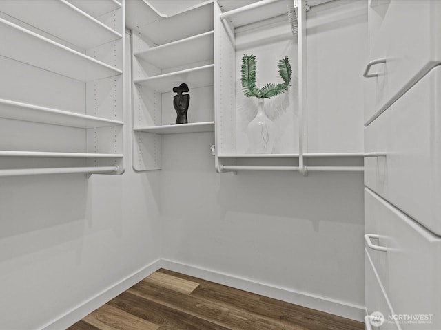 spacious closet featuring dark wood-type flooring