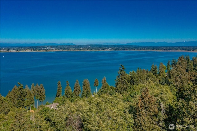 5518 Puffin Pl, Blaine, WA 98230